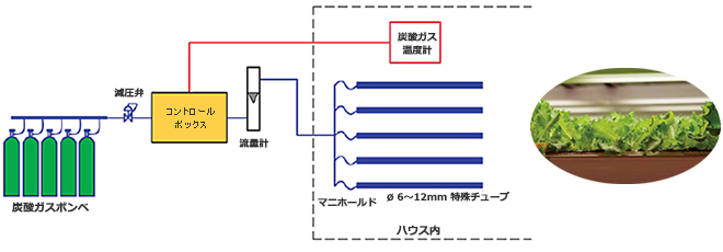 CO2バーム・N型 フロー図